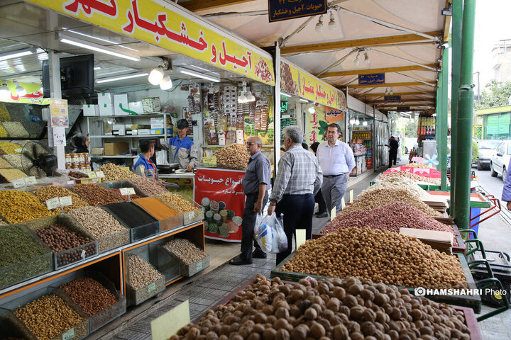 تریبون آزاد شهری