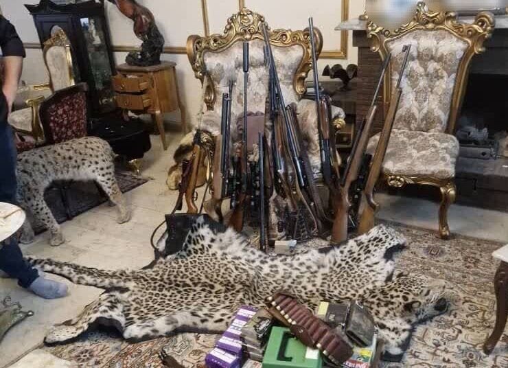 کشف محموله بزرگ حیوانات تاکسیدرمی و سلاح در تهران + عکس