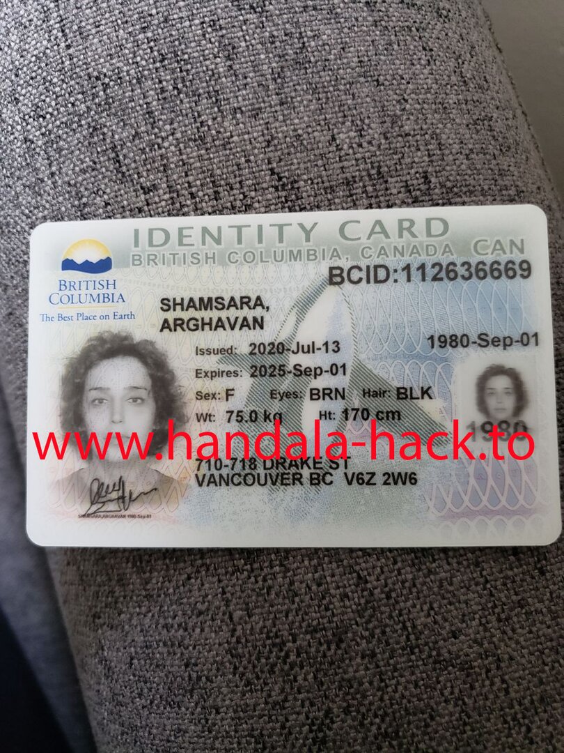 حنظله اسناد جدیدی از نیروهای اینترنشنال منتشر کرد؛ از نقش «نادیا» در تحریریه تا نقش ارغوان شمس در پروژه ترویج همجنس‌گرایی در ایران  + تصاویر