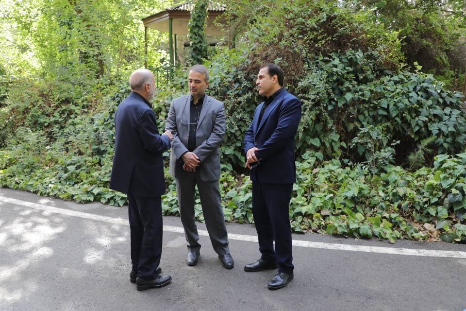 کاشت ۴۲هزار درخت در کمربند سبز شرق پایتخت