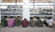 کشف بزرگترین مزرعه استخراج رمز ارز در این شهر  + ویدئو