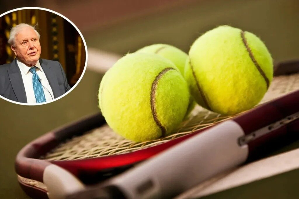 چرا توپ‌های تنیس زرد است؟ | بررسی تاریخچه جالب این ورزش از نگاهی دیگر