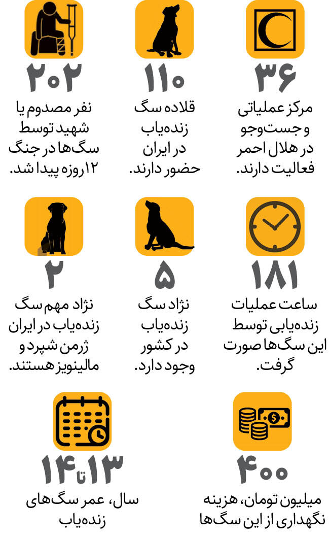 درباره سگ های زنده یاب | چطور این سگ ها ۲۰۲ نفر را در زیر آوار پیدا کردند؟