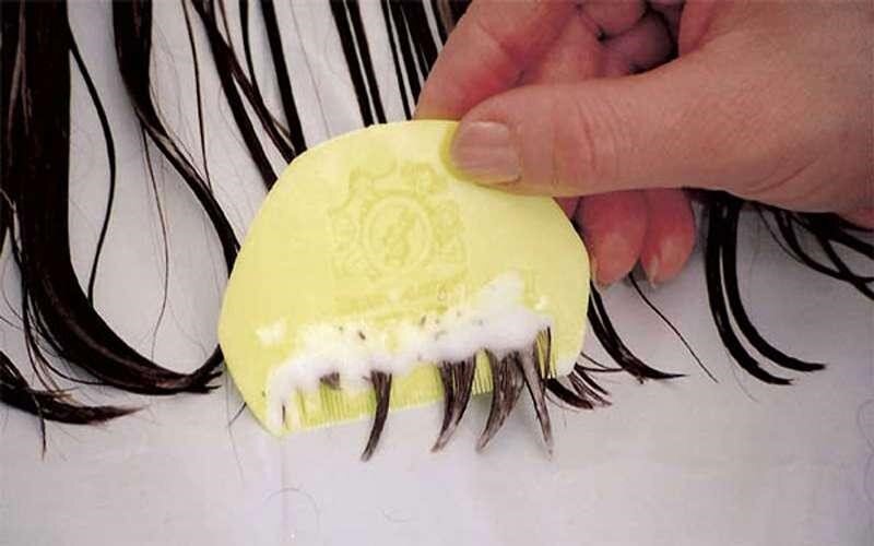 درمان شپش سر با پودر ماشین لباسشویی + عوارض