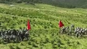 باز شدن پای سگ‌های رباتیک در ارتش چین | تمرینات مشترک آنها را ببینید