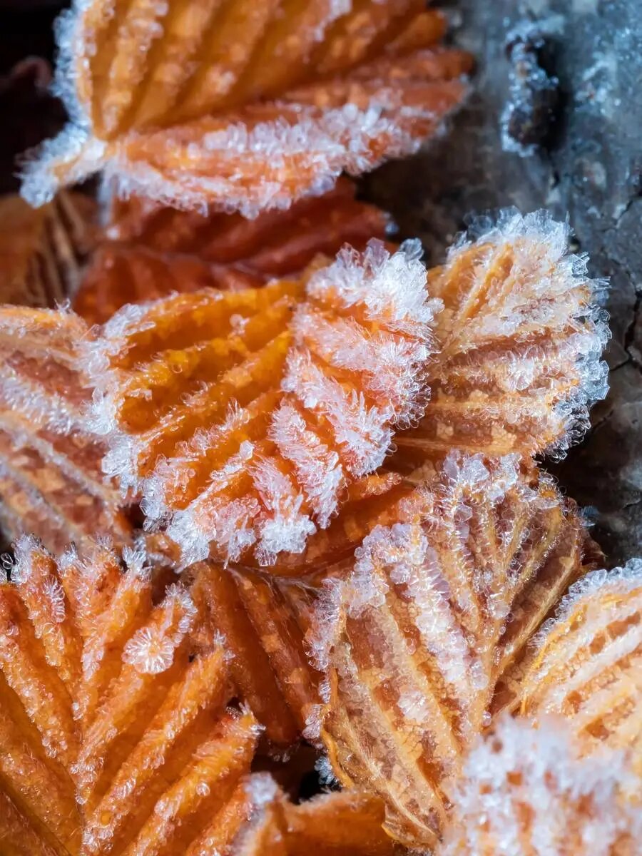 شگفتی‌های علم در قاب دوربین عکاسی | عکس