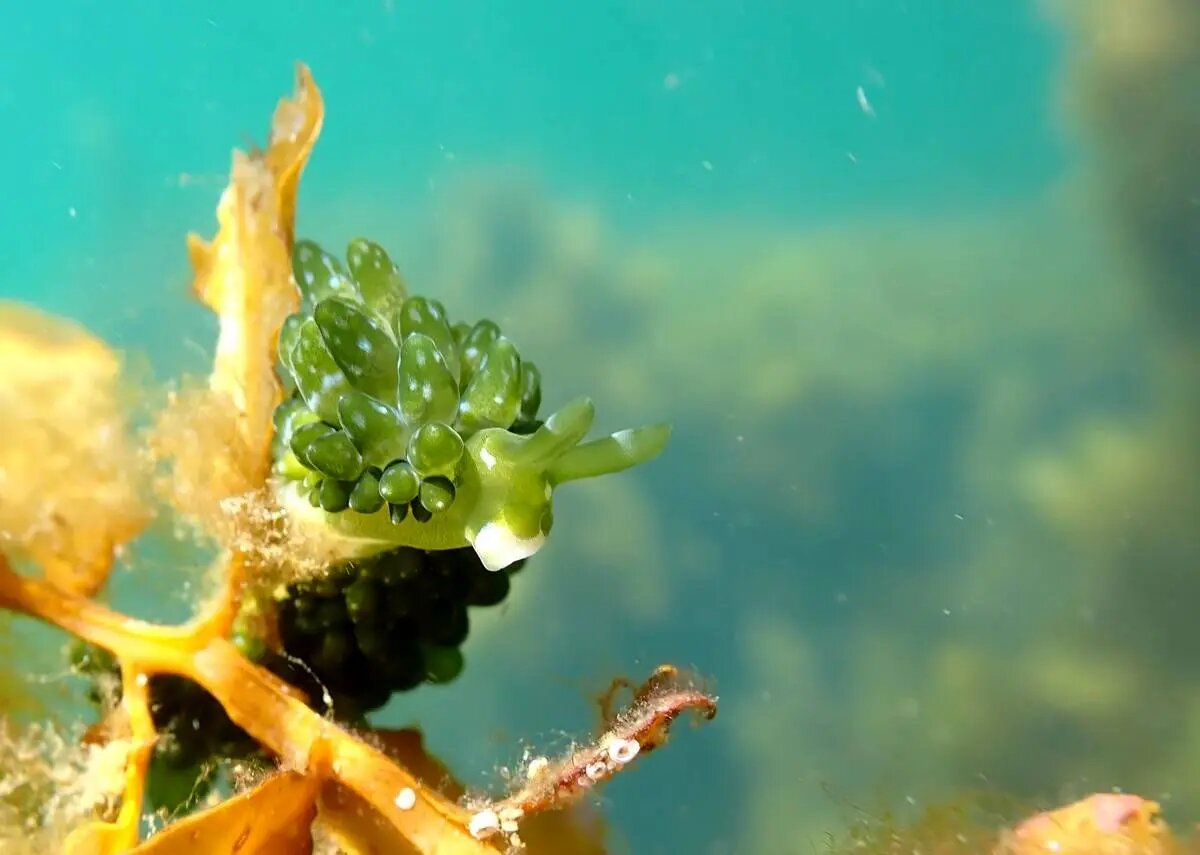 شگفتی‌های علم در قاب دوربین عکاسی | عکس