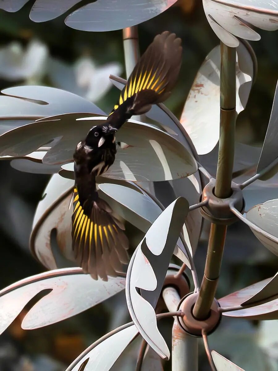 شگفتی‌های علم در قاب دوربین عکاسی | عکس