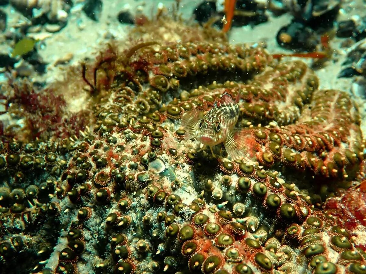 شگفتی‌های علم در قاب دوربین عکاسی | عکس