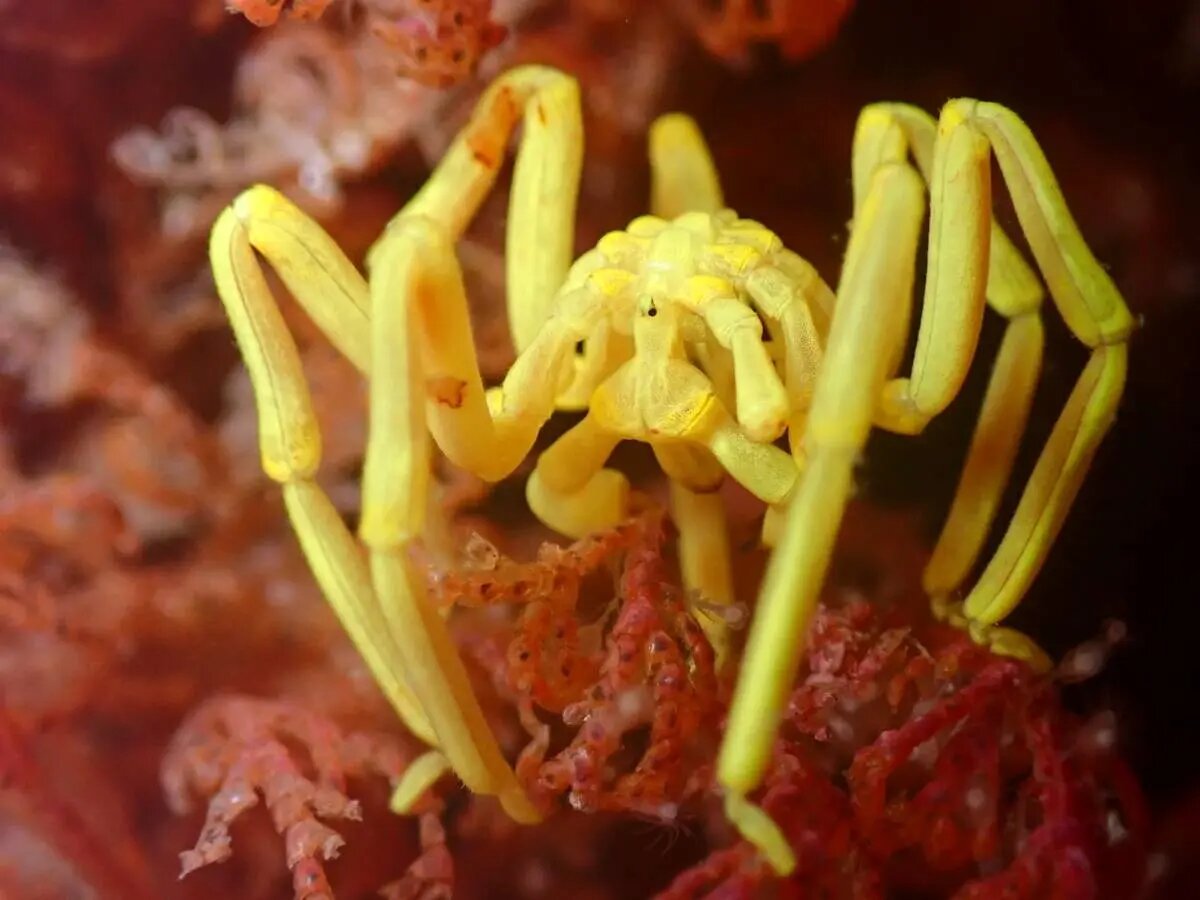 شگفتیهای علم در قاب دوربین عکاسی | عکس