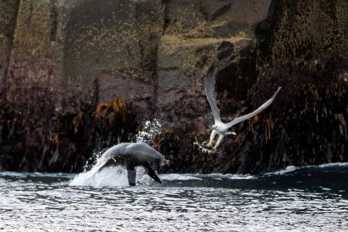 شگفتی‌های علم در قاب دوربین عکاسی | عکس