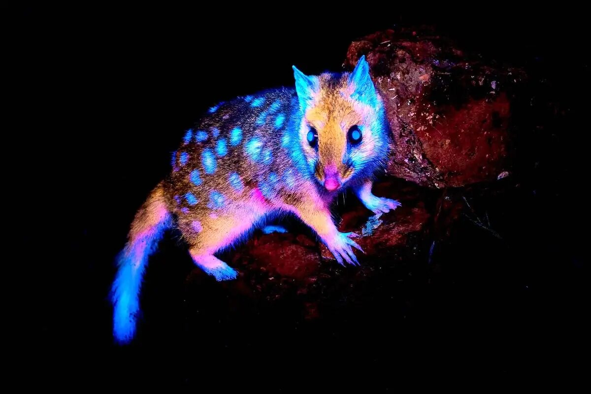 شگفتیهای علم در قاب دوربین عکاسی | عکس