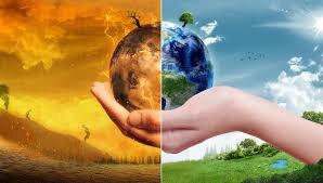 طبیعت می‌تواند جلوی فاجعه آب‌وهوایی را بگیرد؟