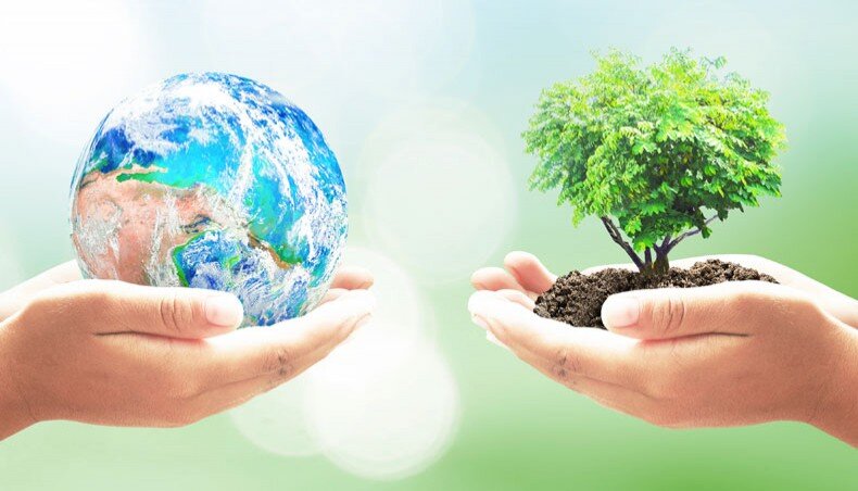 طبیعت میتواند جلوی فاجعه آبوهوایی را بگیرد؟