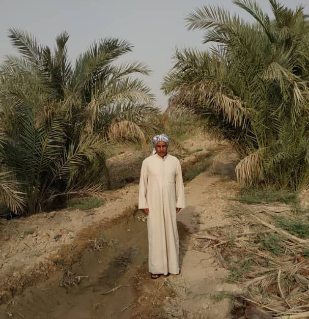 نجات نخل ها در خرما پزان شادگان | اینجا کسی منتظر کمک نیست! + ویدئو