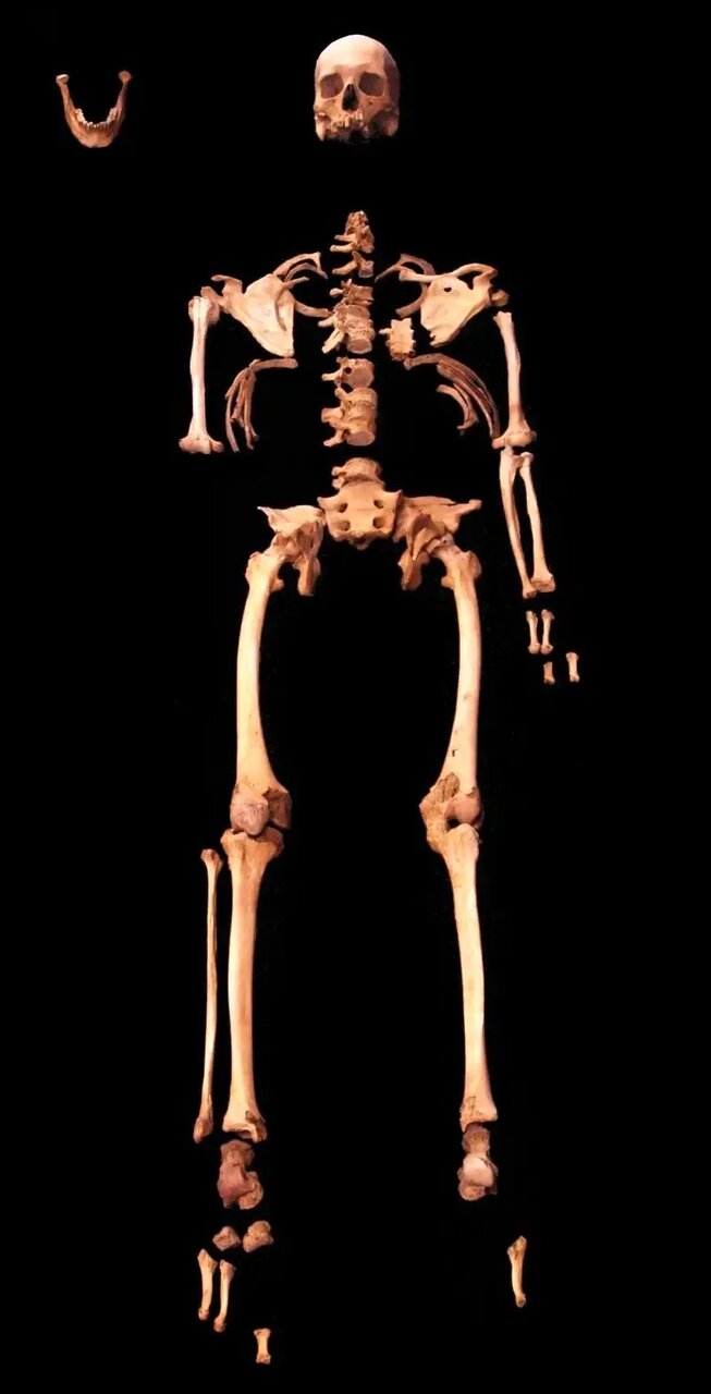 اسکلت ۴۵۰۰ ساله؛ روایت داستان تازهای از مصر باستان | عکس