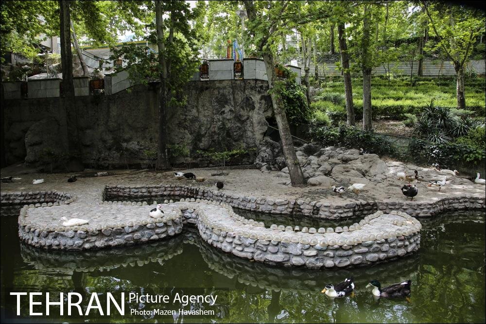 این بوستان شما را به یاد باغ ژاپنی می اندازد
