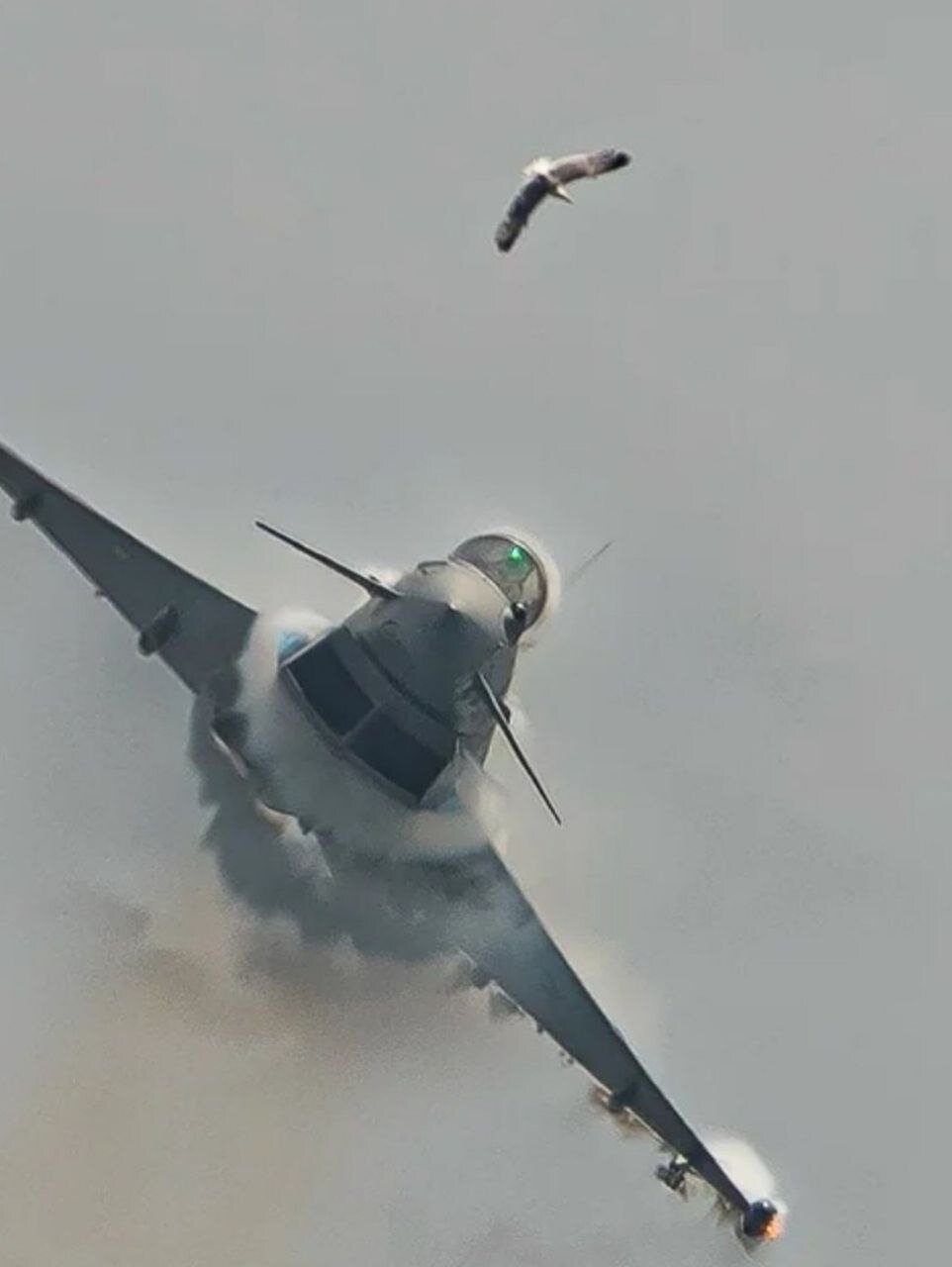 لحظه برخورد پرنده به شیشه جلوی جنگنده | خلبان هواپیما را به سلامت فرود آورد + تصاویر