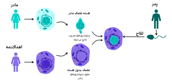 آیویاف جدید برای جلوگیری از انتقال بیماریهای ارثی