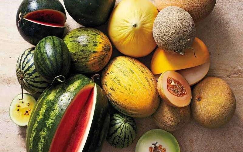 نکات ضروری برای حفظ انرژی در فصل گرما که نمیدانید!