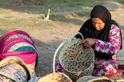 سرنوشت تالاب ها به دست زنان افتاد | زنان تالاب نشین چگونه برای حفاظت از تالاب ها می جنگند؟