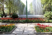 بوستان گردی در یک محله شلوغ