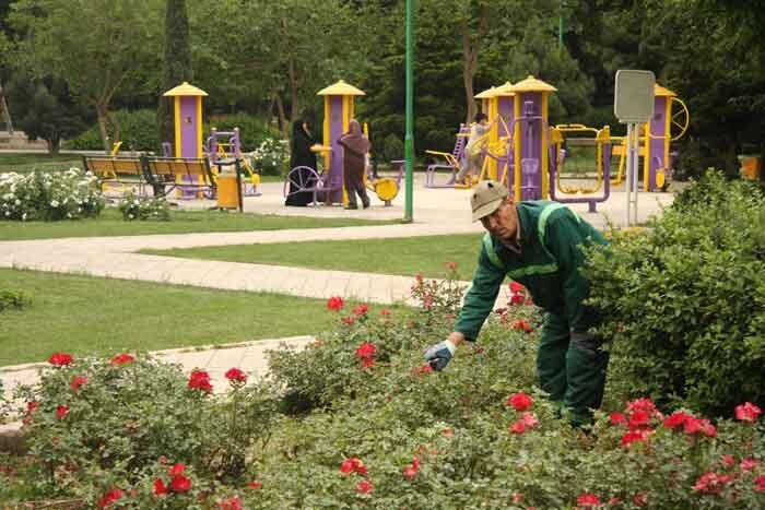 بوستان گردی در یک محله شلوغ