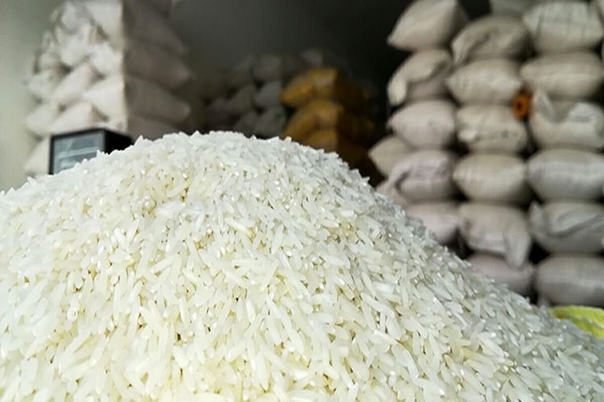جدیدترین قیمت برنج ایرانی و پاکستانی؛ برنج ایرانی با چند درصد سود به دست مصرف کننده می رسد؟ برنج عارف