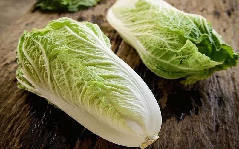 چه سبزیهایی را در تابستان بکاریم؟ راهنمای کاشت سبزیجات در تابستان