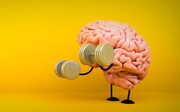 چه فعالیت‌هایی مغز را تقویت می‌کنند؟ | ۳ تمرین برای تقویت حافظه