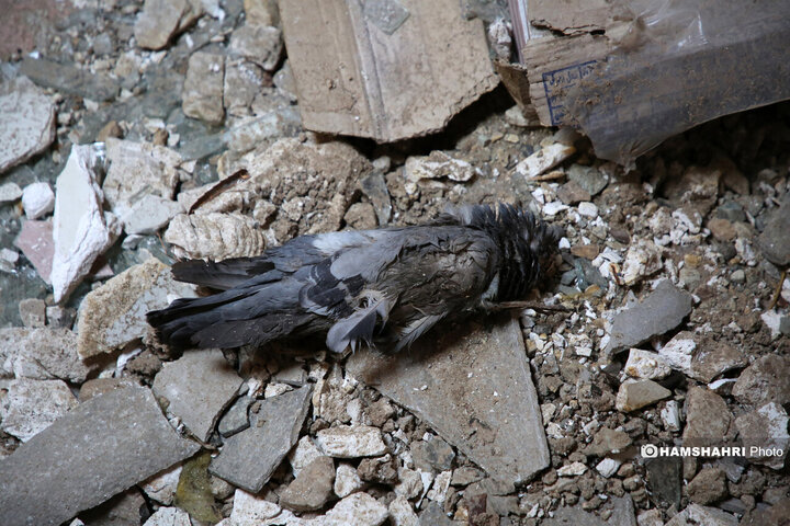 منازل مسکونی خسارت دیده در جنگ تحمیلی ۱۲ روزه اطراف اوین