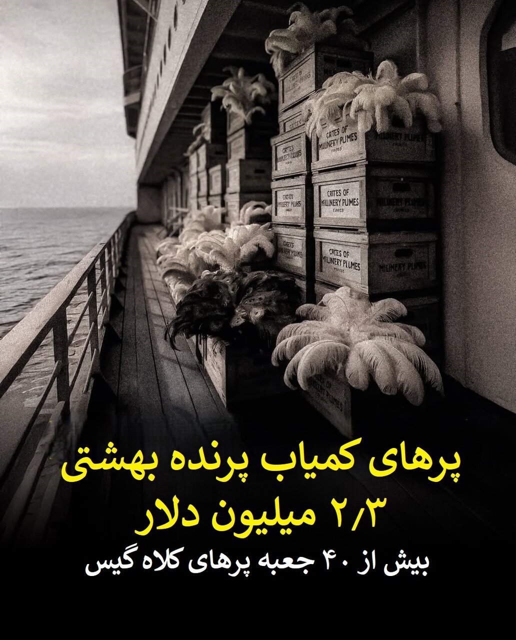 رازهای پنهان کشتی تایتانیک؛ یک جلد رباعیات خیام و پرهای پرنده بهشتی + تصاویر