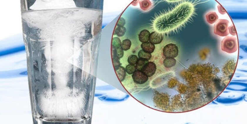 باکتریها و میکروبها به آب و چای حمله میکنند؟ | چطور از تجمع باکتریها در غذا جلوگیری کنیم؟