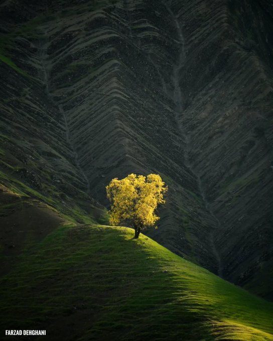 سرودهای از نور و رنگ در قاب دوربین