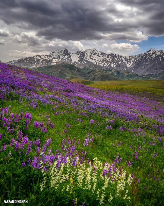 سروده‌ای از نور و رنگ در قاب دوربین