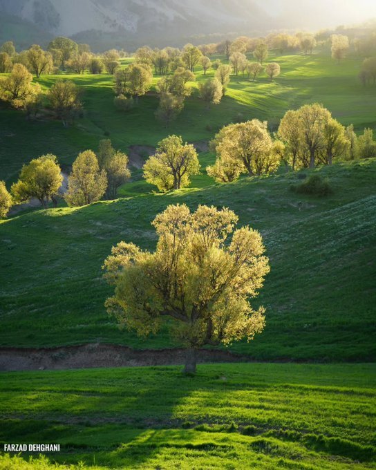 سرودهای از نور و رنگ در قاب دوربین