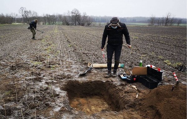 کشف ۷ هزار سکه در مزرعهای ساده