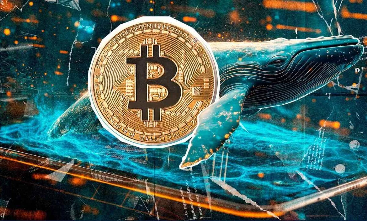 تحلیل یک صراف جهانی از آینده قیمت بیت کوین؛ آخرین وضعیت بازار رمزارزها در جهان بیت کوین