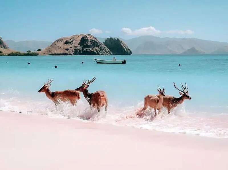 زیباترین مکانهای جهان را ببینید + تصاویر