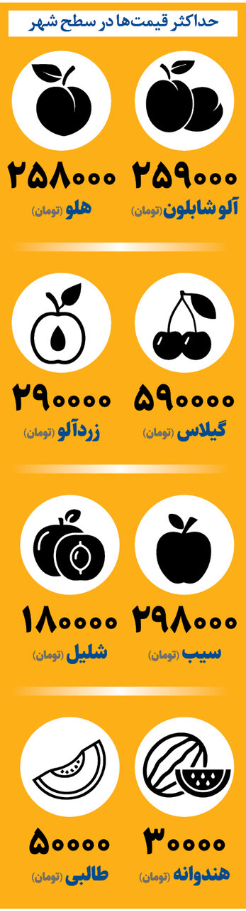 قیمت یک کیلو گیلاس نیم میلیون تومان! | بازار میوههای تابستانی در شوک گرانی