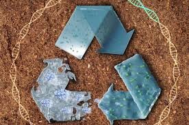 این فناوری میتواند جهان را از شر زبالههای پلاستیکی نجات دهد