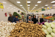 کاهش قیمت سیب‌زمینی در میادین و بازارهای میوه و تره‌بار
