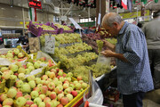 جدیدترین قیمت میوه در بازار تره بار؛ پرتقال، نارنگی، انار، خرمالو و گلابی کیلویی چند شد؟