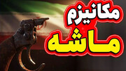 واکنش ایران به رای مثبت شورای امنیت مبنی بر تمدید مکانیسم ماشه + ویدئو | بقایی: مواضعمان را خیلی صریح، روشن و قاطع بیان کردیم