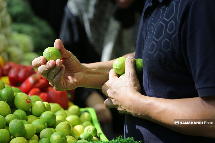 تور بازدید سرزده از بازارهای تره بار به همراه مدیر عامل سازمان میوه و تره بار