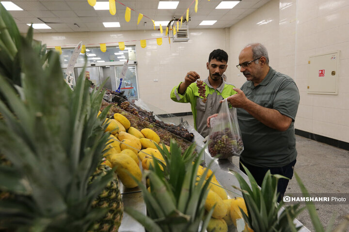 تور بازدید سرزده از بازارهای تره بار به همراه مدیر عامل سازمان میوه و تره بار