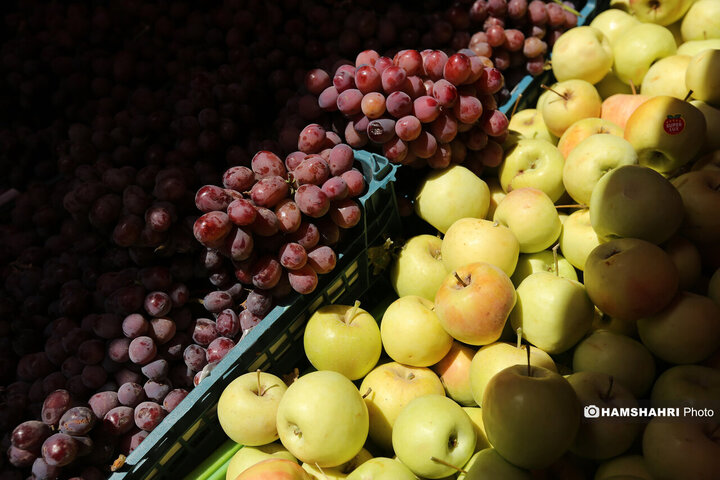 تور بازدید سرزده از بازارهای تره بار به همراه مدیر عامل سازمان میوه و تره بار