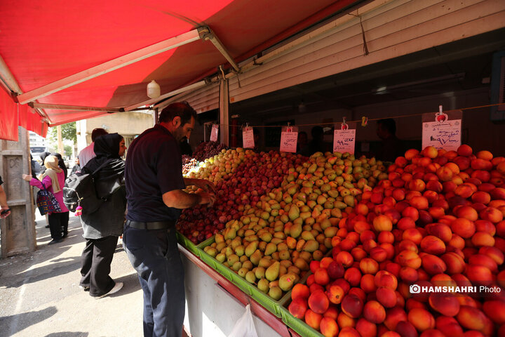 تور بازدید سرزده از بازارهای تره بار به همراه مدیر عامل سازمان میوه و تره بار