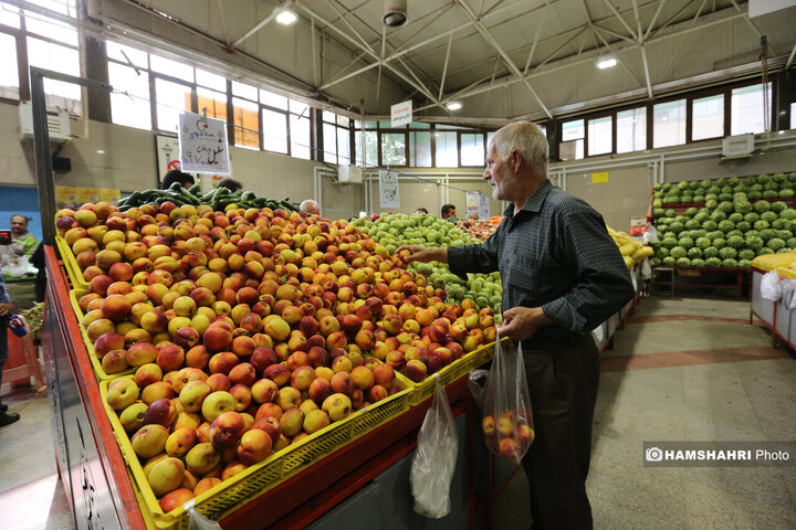 تور بازدید سرزده از بازارهای تره بار به همراه مدیر عامل سازمان میوه و تره بار