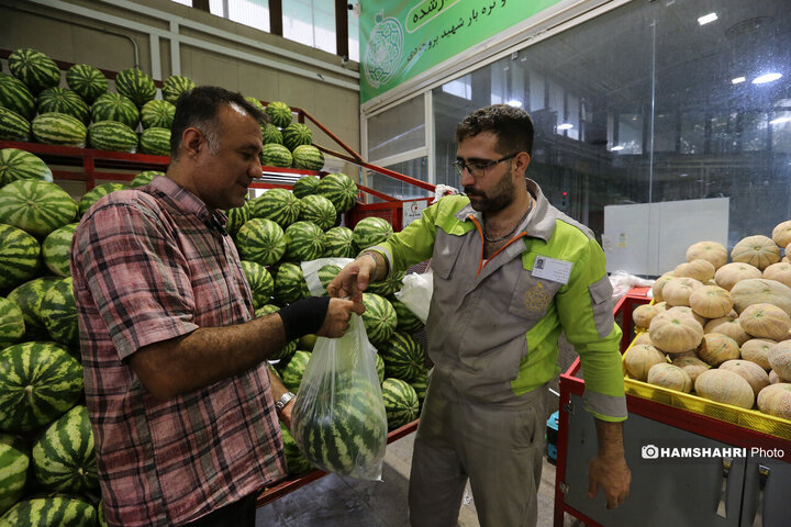 تور بازدید سرزده از بازارهای تره بار به همراه مدیر عامل سازمان میوه و تره بار